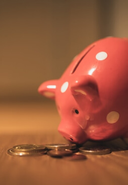 Money pig