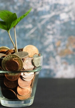 Money tree